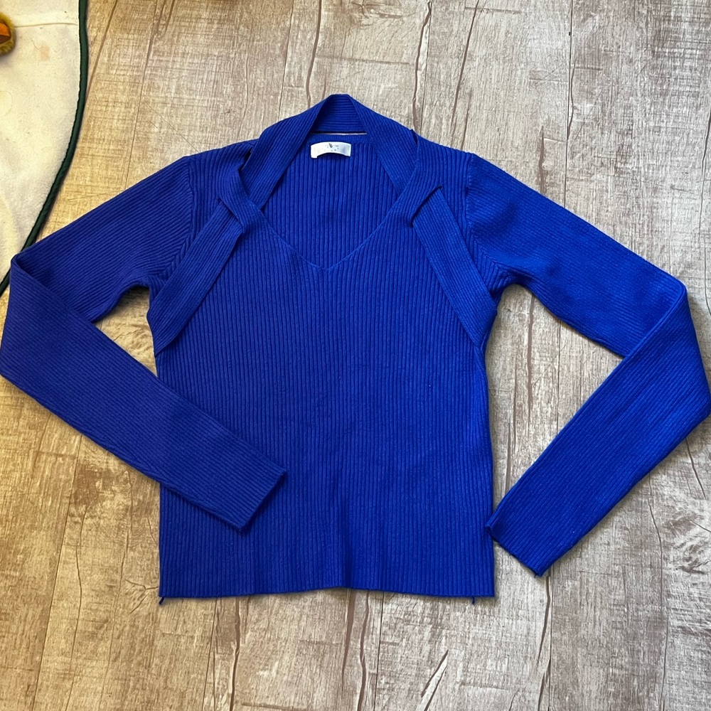 Elegant Blue V-Neck Sweater for Women